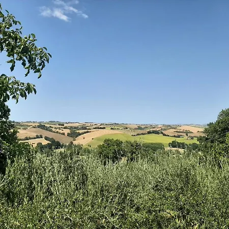 Casa Olivo Troviggiano